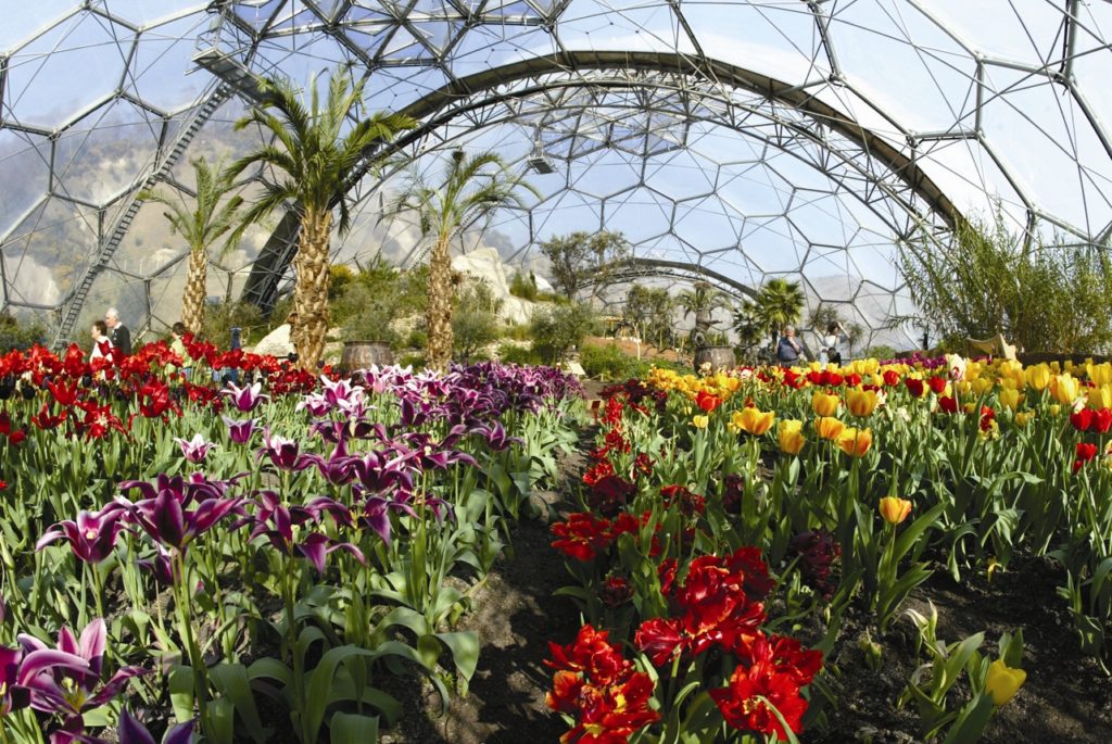 Eden Project
