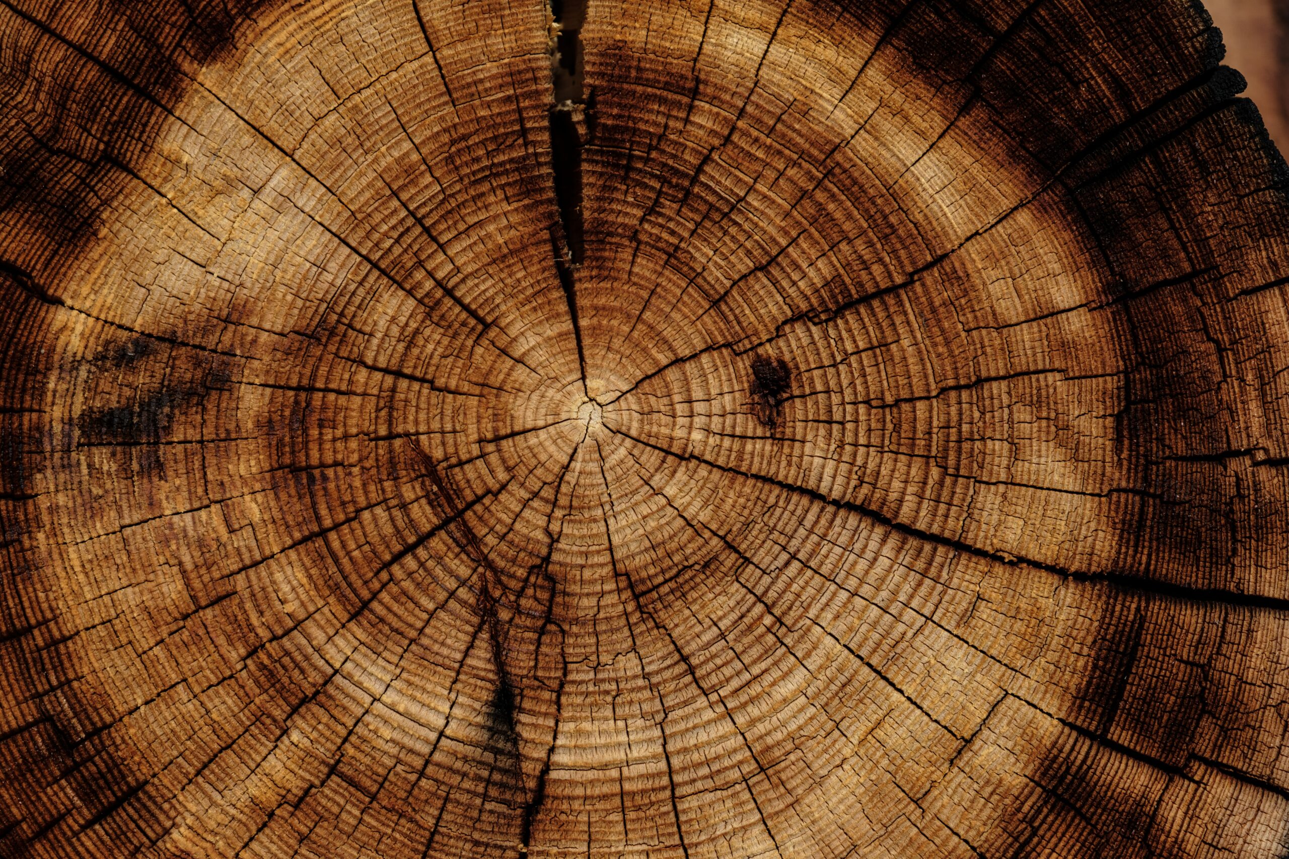 Cupola geodetica in legno: perchè (forse) non è quella giusta