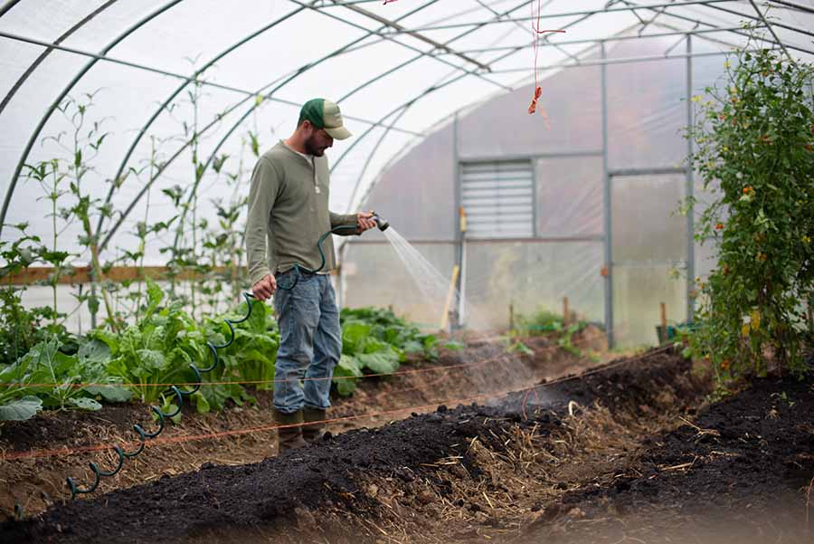 Tendostrutture per l'agricoltura: il tunnel agricolo.