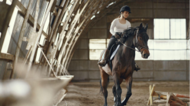 donna a cavallo si allena in un maneggio coperto