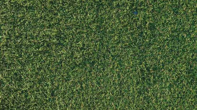 Tappeto padel in erba sintetica: vantaggi e tipologie